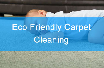 Eco/Green Cleaning